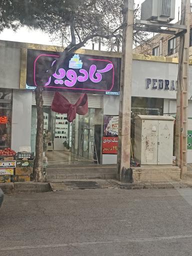 عکس کادویار
