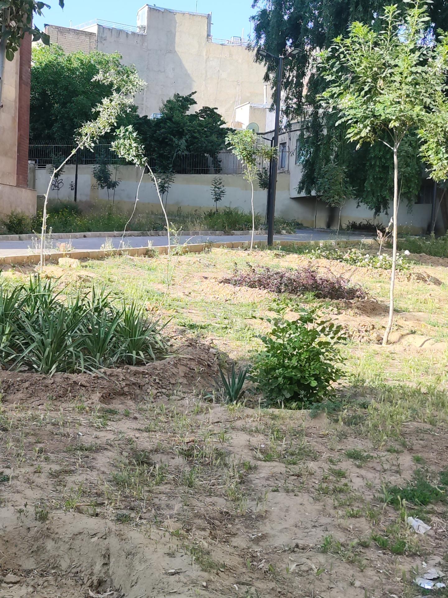 عکس بوستان  شمس