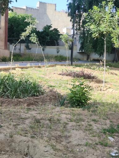 عکس بوستان  شمس