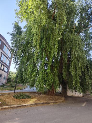بوستان  شمس