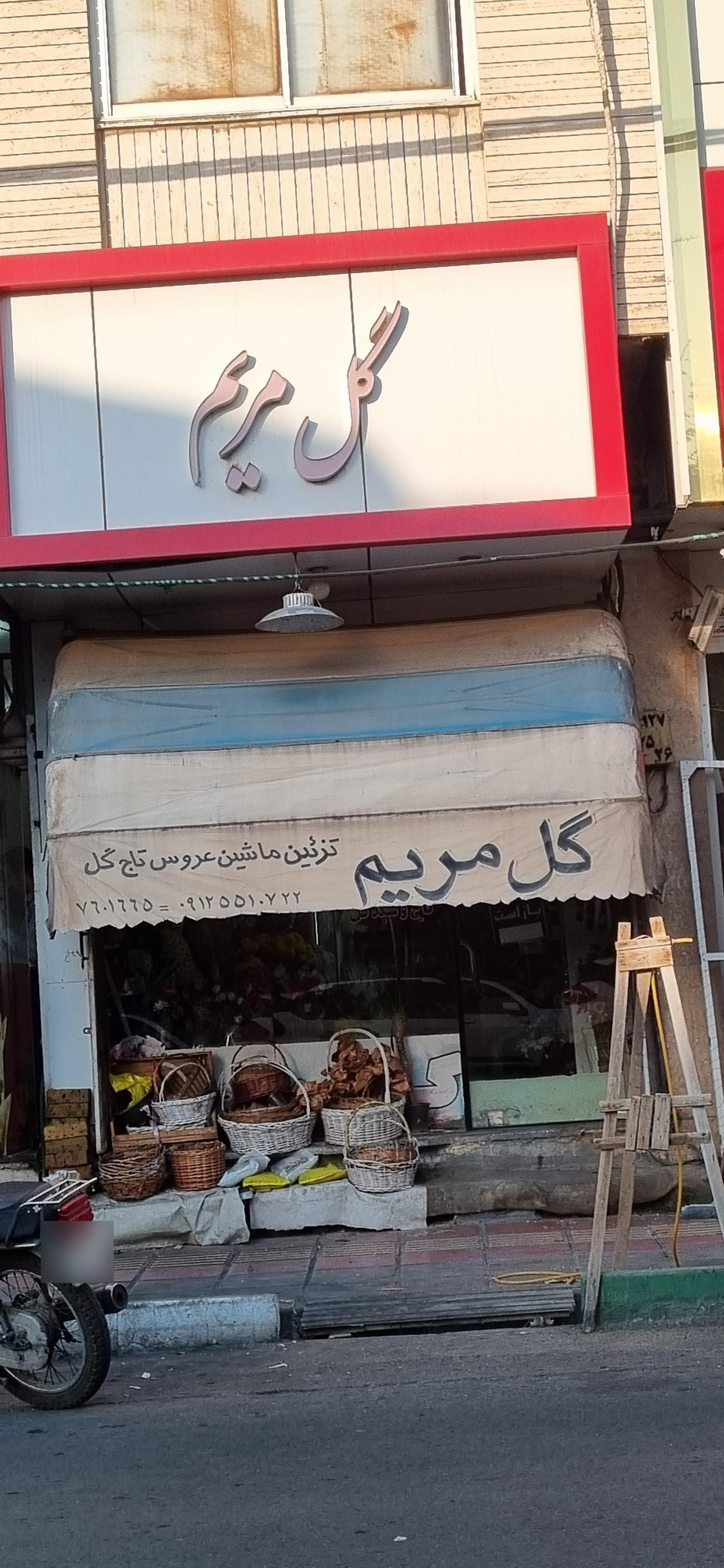 عکس گل مریم