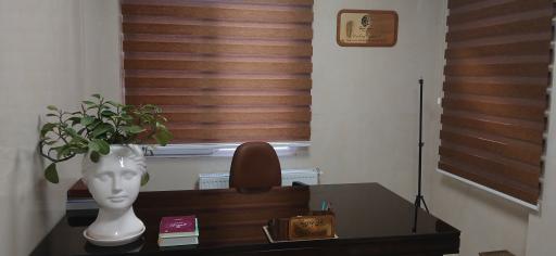 کلینیک روانشناسی همنوا