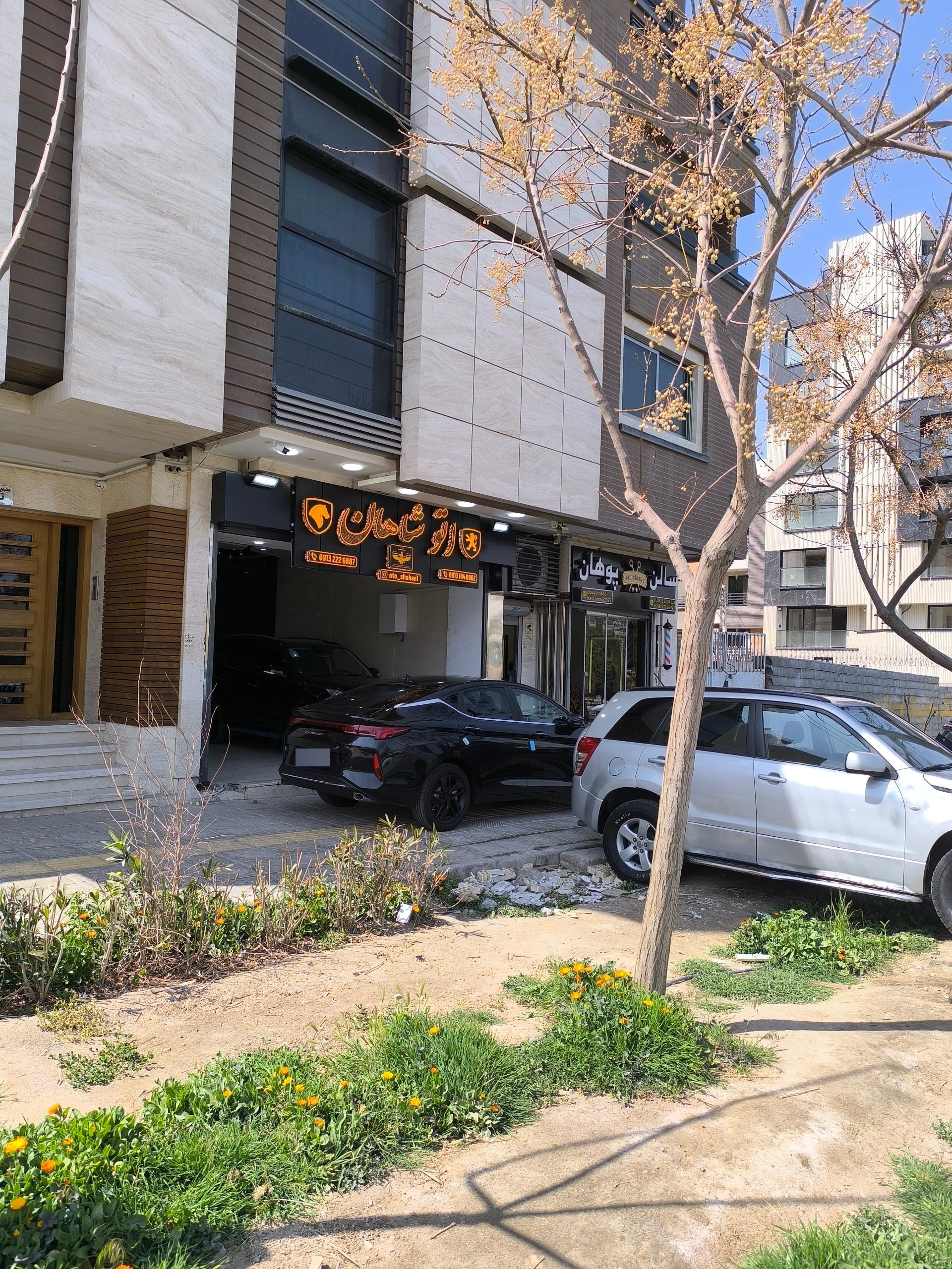 عکس اتو شاهان 