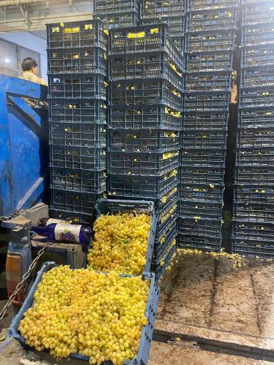 عکس بنگاه بار فروشی هاتفی