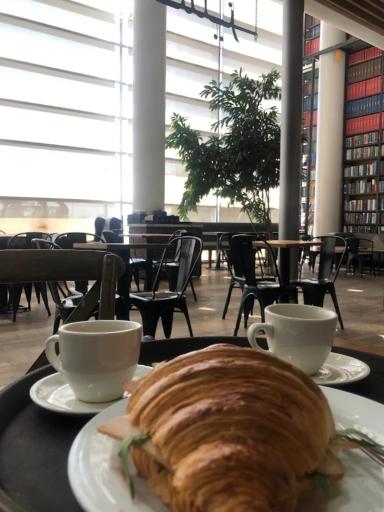 عکس مجتمع گردشگری مهر و ماه