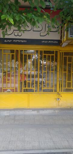 عکس فروش و خدمات دزدگیر عدل