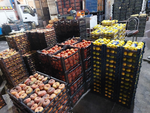 عکس بنگاه بار فروشی هاتفی