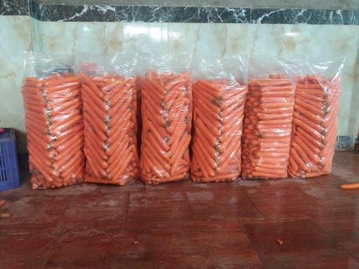 عکس کارگاه هویج شویی و بسته بندی محصولات کشاورزی احسان فرجی 