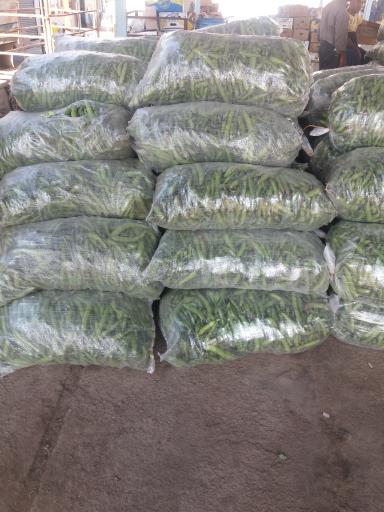 عکس کارگاه هویج شویی و بسته بندی محصولات کشاورزی احسان فرجی 