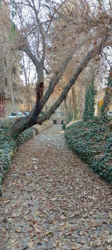 عکس مادی هفتون