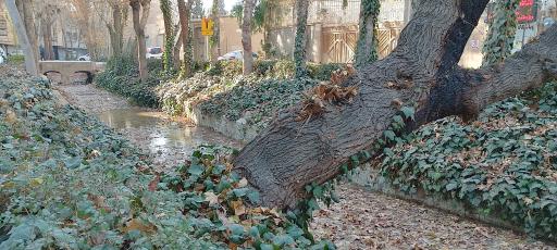 عکس مادی هفتون