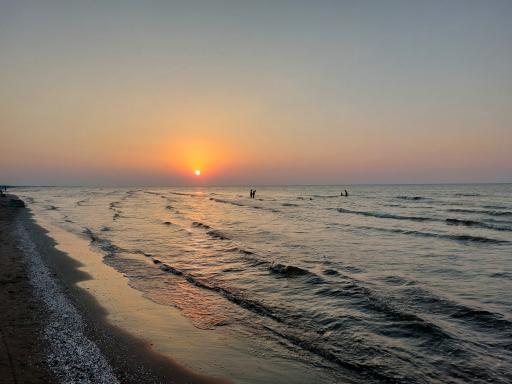 عکس ساحل زیباکنار