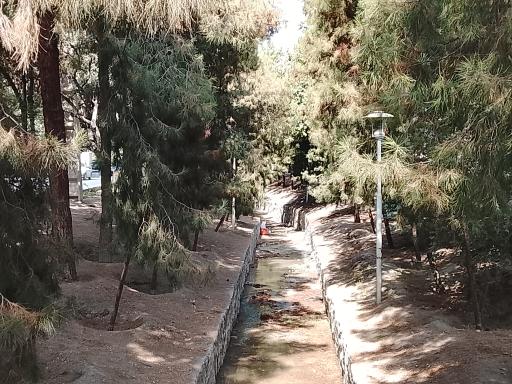 عکس مادی هفتون