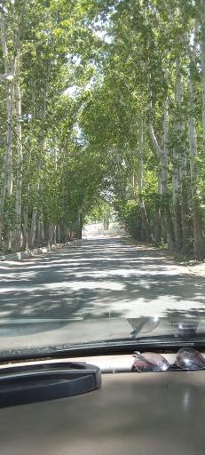 موسی آباد بختیاری