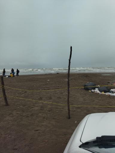 عکس ساحل زیباکنار