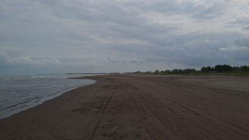 عکس ساحل زیباکنار