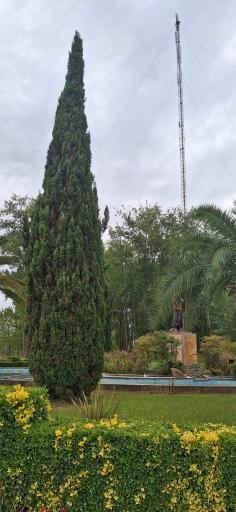 عکس ساحل زیباکنار