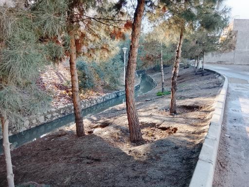 عکس مادی هفتون