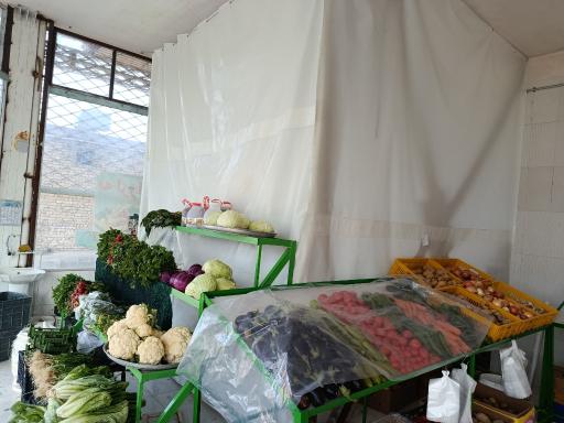 عکس میوه سرای تقی مقدم