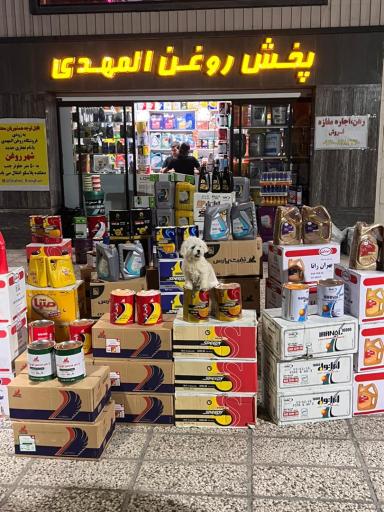 عکس پخش روغن المهدی