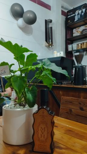 عکس کافه  مبین