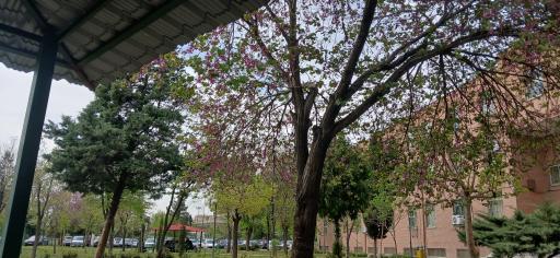 عکس دانشکده روانشناسی و علوم تربیتی