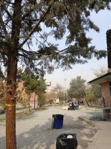 عکس دانشکده روانشناسی و علوم تربیتی