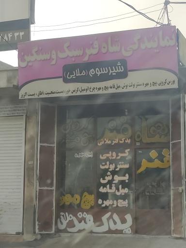 عکس نمایندگی شاه فنر شیر سوم