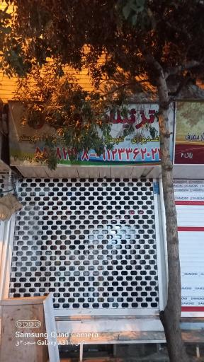 عکس تزئینات ونوس