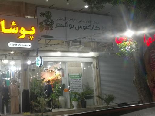 عکس فروشگاه تخصصی گیاهان آپارتمانی کاکتوس بوشهر