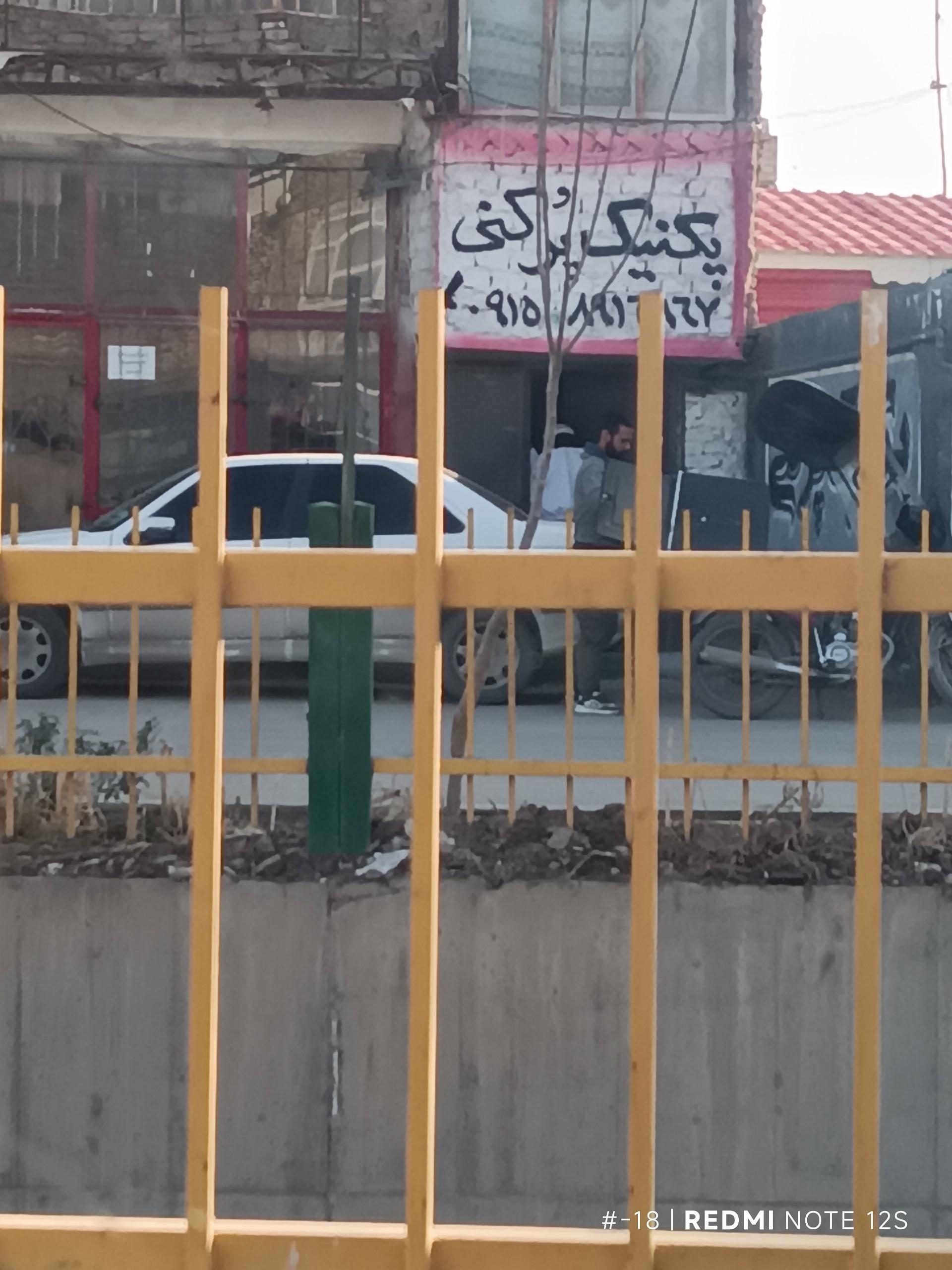 عکس پیک نیک پرکنی