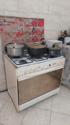 عکس تهیه غذای خانگی بس گل
