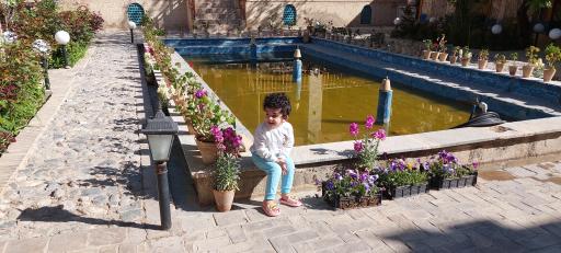 عکس عمارت خانه شجاع نظام