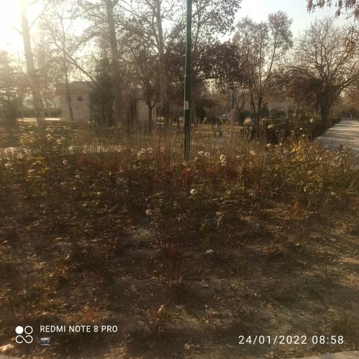 عکس بوستان گلها