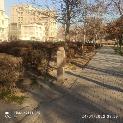 عکس بوستان گلها