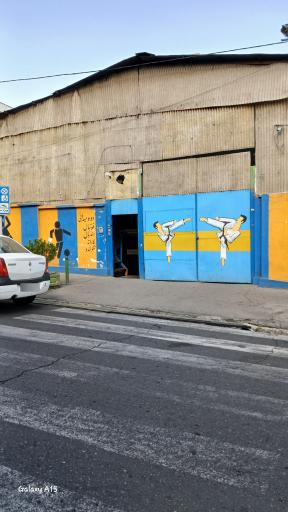 عکس مجموعه ورزشی شقایق