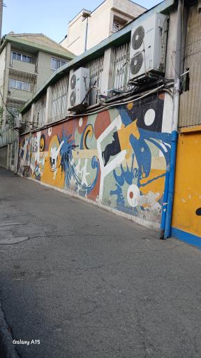 عکس مجموعه ورزشی شقایق