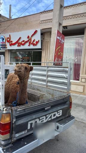 عکس سوپر گوشت دوستان