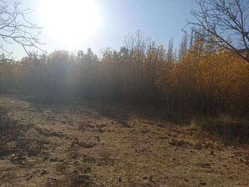 عکس دهکده فرهنگی ورزشی و توریستی گنجنامه