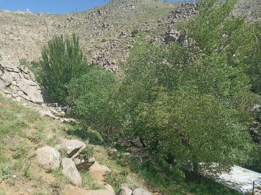 عکس دهکده فرهنگی ورزشی و توریستی گنجنامه