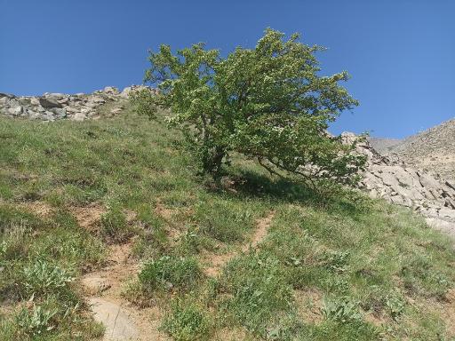 عکس دهکده فرهنگی ورزشی و توریستی گنجنامه