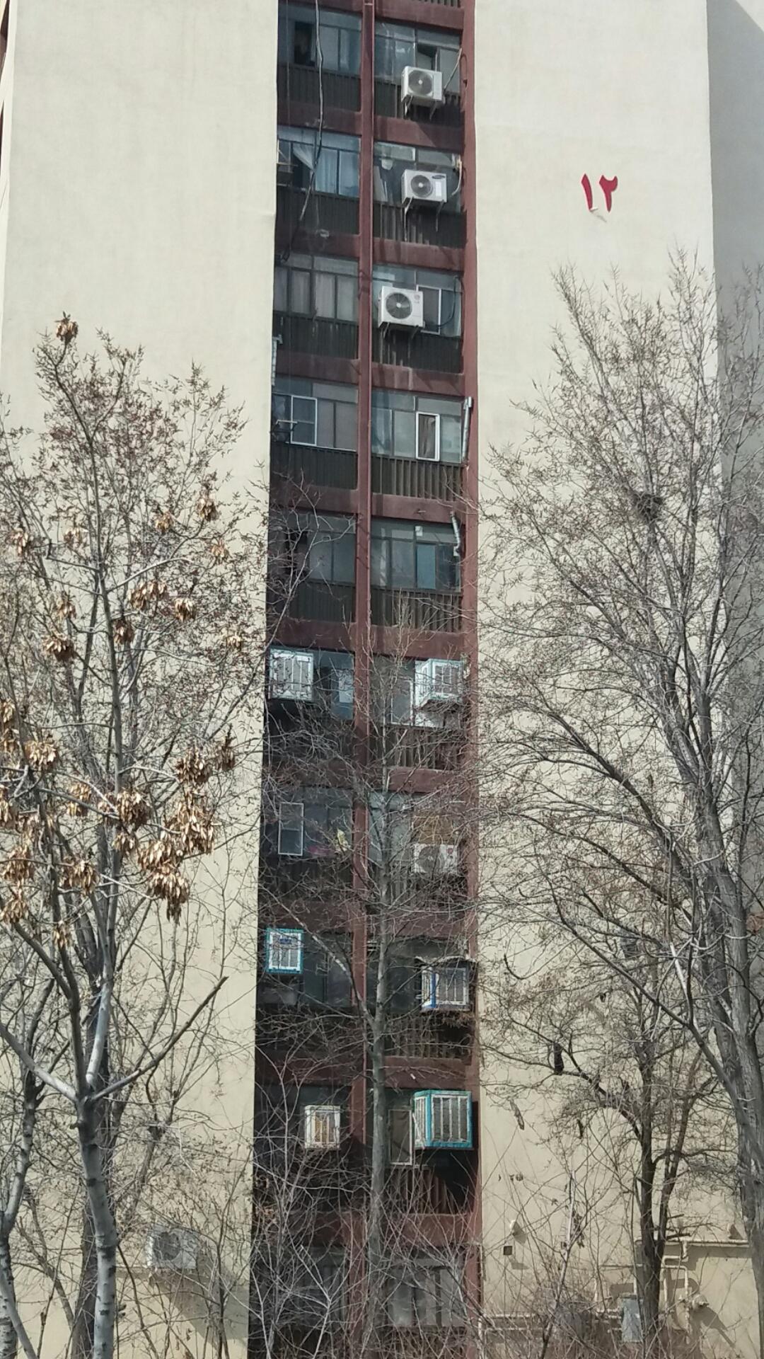 عکس بلوک 12 لویزان 1