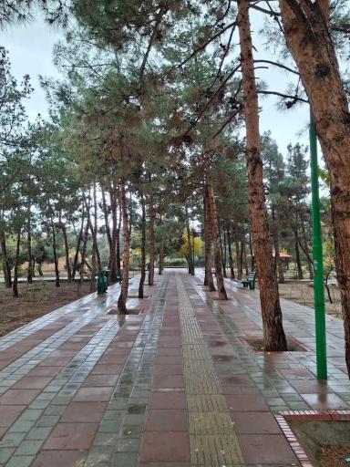 عکس بوستان نسترن