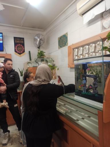 عکس طلا جات یاران