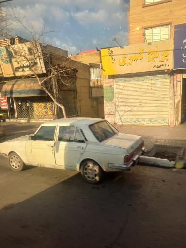 عکس پخش برنج کسری