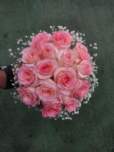عکس گل فروشی شقایق 