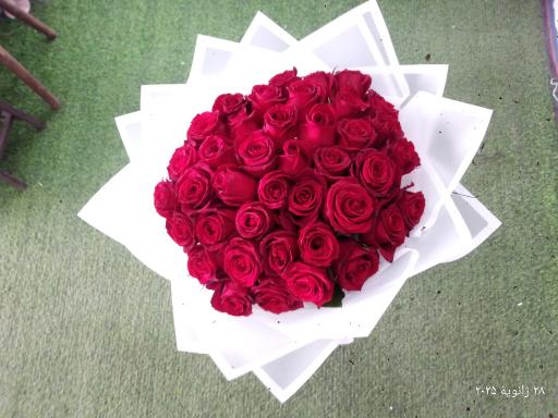 عکس گل فروشی شقایق 
