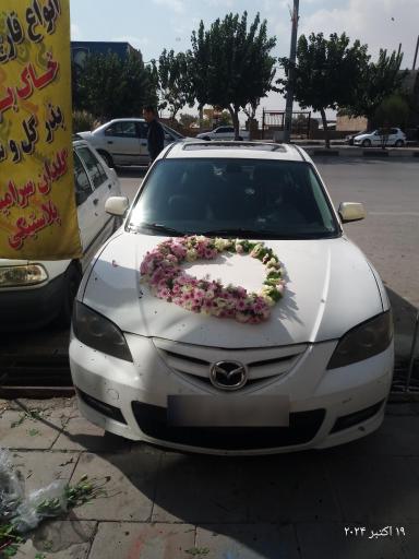 عکس گل فروشی شقایق 