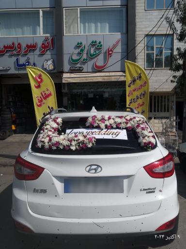 عکس گل فروشی شقایق 