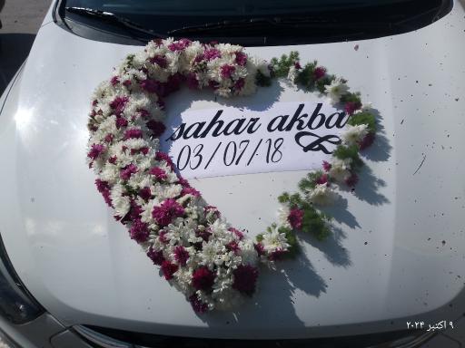 عکس گل فروشی شقایق 